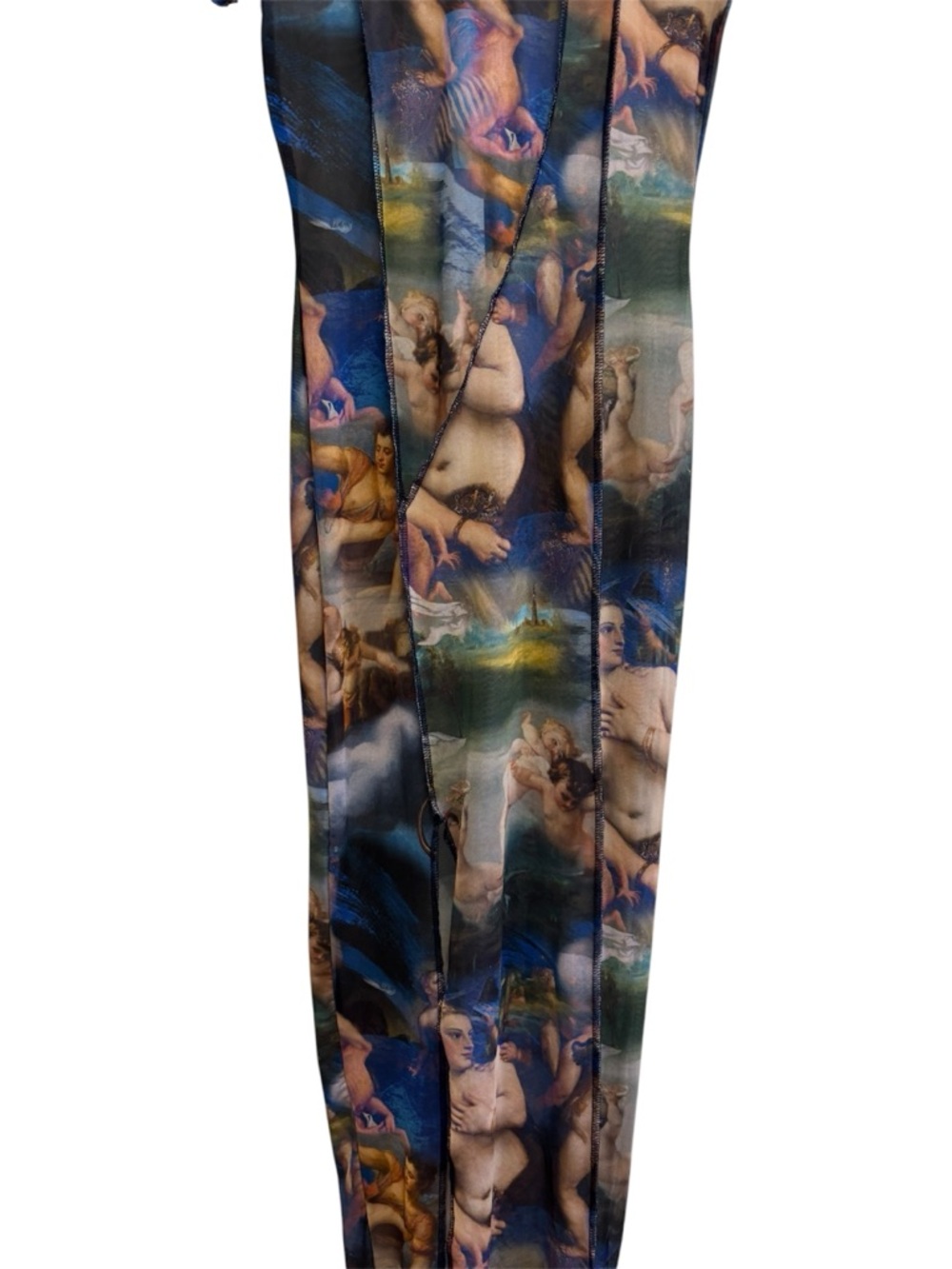 Fashion Nova Renaissance art mesh maxi dress 🎨 - Picture 5 of 6